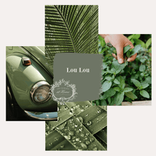 Load image into Gallery viewer, Amy Howard at Home Amy Howard at Home - One Step Paint - Lou Lou: 16oz