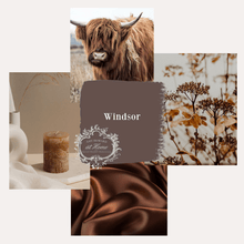 Load image into Gallery viewer, Amy Howard at Home Amy Howard at Home - One Step Paint - Windsor: 16oz