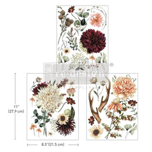 Load image into Gallery viewer, ReDesign with Prima Decor Transfers MIDDY TRANSFERS® – WILLOW WAY – 3 SHEETS, 8.5″X11″