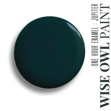Load image into Gallery viewer, Wise Owl Enamel Paint Jupiter Wise Owl One Hour Enamel Summer in IBIZA Collection