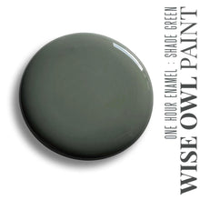 Load image into Gallery viewer, Wise Owl Enamel Paint Shade Green Wise Owl One Hour Enamel Summer in IBIZA Collection
