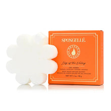 Load image into Gallery viewer, Spongellé Gift Lily of the Valley Spongellé Boxed Flower Body Wash Infused Buffer | 14+ Washes