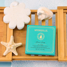 Load image into Gallery viewer, Spongellé Gift Spongellé Boxed Flower Body Wash Infused Buffer | 14+ Washes