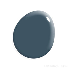 Load image into Gallery viewer, Amy Howard at Home Lacquer Paint Mississippi Moonlight NEW LuxeLacquer
