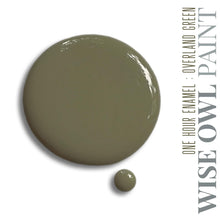 Load image into Gallery viewer, Wise Owl Paint 1 Hour Enamel Paint