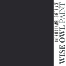 Load image into Gallery viewer, Wise Owl Paint Quart / Soft Black 1 Hour Enamel Paint