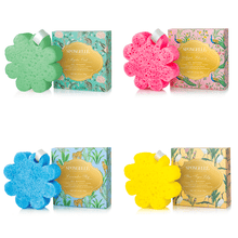Load image into Gallery viewer, Spongellé | Bestsellers: Fall, Halloween, Christmas 2026 Spongellé | Bestsellers: Fall, Halloween, Christmas 2026 - Art Chinois Assorted Pack - 12 Buffers