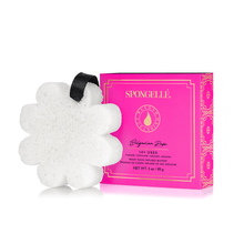 Load image into Gallery viewer, Spongellé | Bestsellers: Fall, Halloween, Christmas 2026 Spongellé | Bestsellers: Fall, Halloween, Christmas 2026 - Boxed Flower Assorted Pack : Assorted Pack