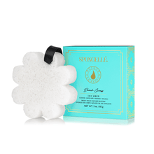 Load image into Gallery viewer, Spongellé | Bestsellers: Fall, Halloween, Christmas 2026 Spongellé | Bestsellers: Fall, Halloween, Christmas 2026 - Boxed Flower Assorted Pack : Assorted Pack
