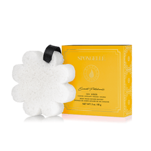 Load image into Gallery viewer, Spongellé | Bestsellers: Fall, Halloween, Christmas 2026 Spongellé | Bestsellers: Fall, Halloween, Christmas 2026 - Boxed Flower Assorted Pack : Assorted Pack