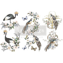 Load image into Gallery viewer, ReDesign with Prima Decor Transfers DECOR TRANSFERS® – RARE BIRDS – 3 SHEETS, 6″X12″
