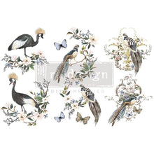 Load image into Gallery viewer, ReDesign with Prima Decor Transfers DECOR TRANSFERS® – RARE BIRDS – 3 SHEETS, 6″X12″