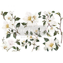 Load image into Gallery viewer, ReDesign with Prima Decor Transfers DECOR TRANSFERS® – WHITE MAGNOLIA – 3 SHEETS, 6″X12″