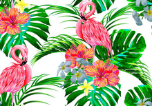 Load image into Gallery viewer, Aussie Dry Rub Transfers Flamingos II Dry Rub Transfer