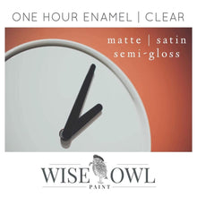 Load image into Gallery viewer, Wise Owl Finishes 1 Hour Clear Enamel Topcoat