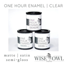 Load image into Gallery viewer, Wise Owl Finishes 1 Hour Clear Enamel Topcoat