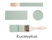 Load image into Gallery viewer, Fusion Fusion Mineral Paint Fusion Mineral Paint - Eucalyptus