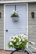 Load image into Gallery viewer, Fusion Fusion Mineral Paint Fusion Mineral Paint - Mist