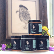 Load image into Gallery viewer, Wise Owl Glaze Glaze