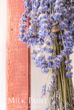 Load image into Gallery viewer, Fusion Homestead House Milk Paint Stain