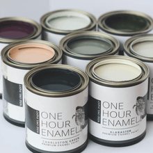 Load image into Gallery viewer, Wise Owl Paint 1 Hour Enamel Paint