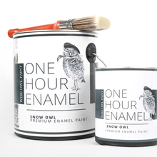 Load image into Gallery viewer, Wise Owl Paint 1 Hour Enamel Paint