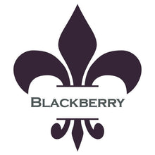 Load image into Gallery viewer, Wise Owl Paint Blackberry Chalk Synthesis Paint Pints (16 oz)