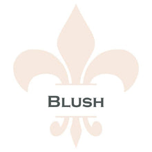 Load image into Gallery viewer, Wise Owl Paint Blush Chalk Synthesis Paint Pints (16 oz)