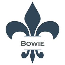 Load image into Gallery viewer, Wise Owl Paint Bowie Chalk Synthesis Paint Pints (16 oz)