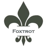 Load image into Gallery viewer, Wise Owl Paint Foxtrot Chalk Synthesis Paint Pints (16 oz)
