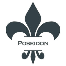 Load image into Gallery viewer, Wise Owl Paint Poseidon Chalk Synthesis Paint Pints (16 oz)