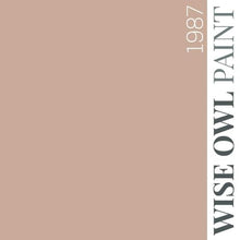 Load image into Gallery viewer, Wise Owl Paint Quart / 1987 1 Hour Enamel Paint