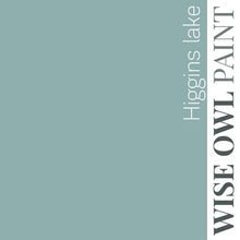 Load image into Gallery viewer, Wise Owl Paint Quart / Higgins Lake 1 Hour Enamel Paint