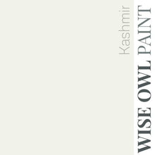 Load image into Gallery viewer, Wise Owl Paint Quart / Kashmir 1 Hour Enamel Paint