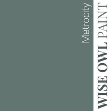 Load image into Gallery viewer, Wise Owl Paint Quart / Metrocity 1 Hour Enamel Paint