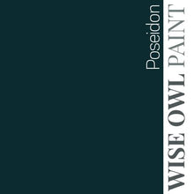 Load image into Gallery viewer, Wise Owl Paint Quart / Poseidon 1 Hour Enamel Paint