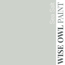 Load image into Gallery viewer, Wise Owl Paint Quart / Sea Salt 1 Hour Enamel Paint
