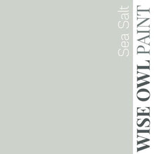 Load image into Gallery viewer, Wise Owl Paint Quart / Sea Salt 1 Hour Enamel Paint