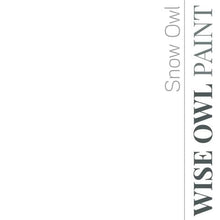 Load image into Gallery viewer, Wise Owl Paint Quart / Snow Owl 1 Hour Enamel Paint