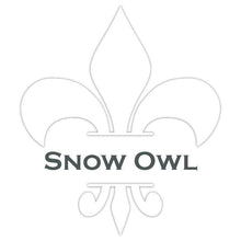 Load image into Gallery viewer, Wise Owl Paint Snow Owl Chalk Synthesis Paint Pints (16 oz)