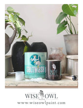 Load image into Gallery viewer, Wise Owl Salt Wash Paint Additive