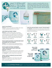 Load image into Gallery viewer, Wise Owl Salt Wash Paint Additive