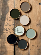 Load image into Gallery viewer, Allure Design & Creations Wise Owl 1 Hour Enamel Luxury Earth Collection