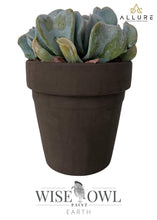 Load image into Gallery viewer, Allure Design & Creations Wise Owl Chalk Synthesis Desert Collection
