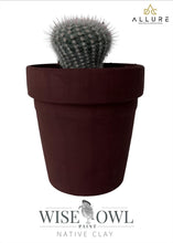 Load image into Gallery viewer, Wise Owl Wise Owl Chalk Synthesis Desert Collection