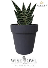 Load image into Gallery viewer, Wise Owl Wise Owl Chalk Synthesis Desert Collection