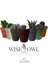 Load image into Gallery viewer, Wise Owl Wise Owl Chalk Synthesis Desert Collection
