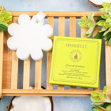Load image into Gallery viewer, Spongellé Gift Spongellé Boxed Flower Body Wash Infused Buffer | 14+ Washes
