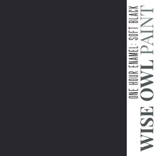 Load image into Gallery viewer, Wise Owl Paint Quart / Soft Black 1 Hour Enamel Paint
