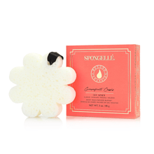 Load image into Gallery viewer, Spongellé | Bestsellers: Fall, Halloween, Christmas 2026 Spongellé  |  Bestsellers: Fall, Halloween, Christmas 2026 - Boxed Flower Assorted Pack : Assorted Pack
